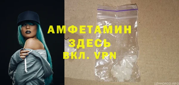 молекула духа Белокуриха