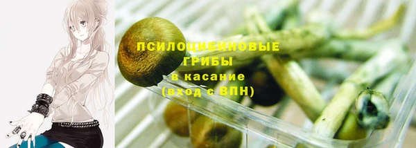 молекула духа Белокуриха