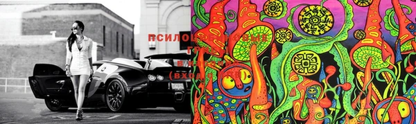 молекула духа Белокуриха
