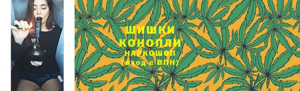 молекула духа Белокуриха